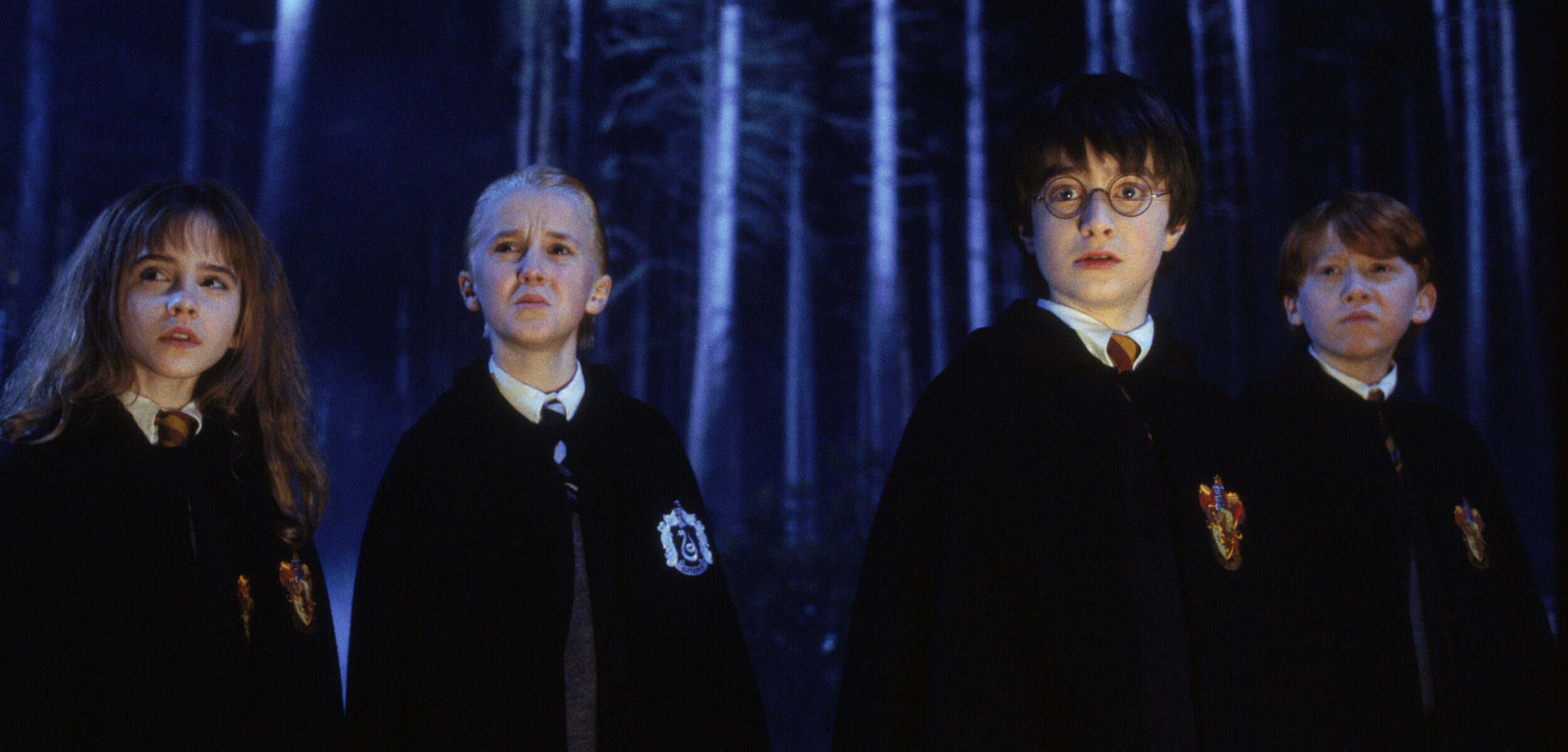 Detention In The Forbidden Forest 1992 Harry Potter Wiki Fandom