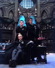 Draco-grabbe-and-goyle-in-the-slytherin-common-room