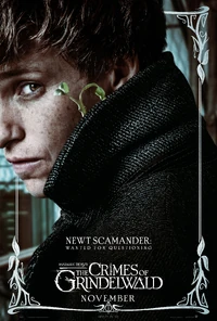 Newton Scamander