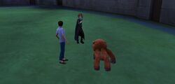 Merula approaching Caelan