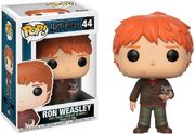 Ron Weasley with Scabbers as a 