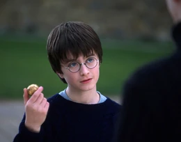 Harry-with-the-golden-snitch-1050x0-c-default