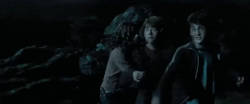 Harry disarms Pettigrew