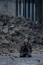 Гарри во время Битвы за Хогвартс