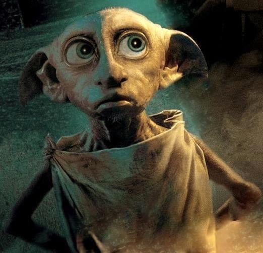 Dobby, Harry/Albus Potter Wiki