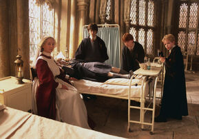 Hermione-petrified-1050x0-c-default