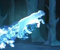 Tigress-patronus.jpg (16 KB) Tigress