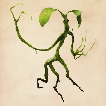 Bowtruckle | Harry Potter Wiki | Fandom