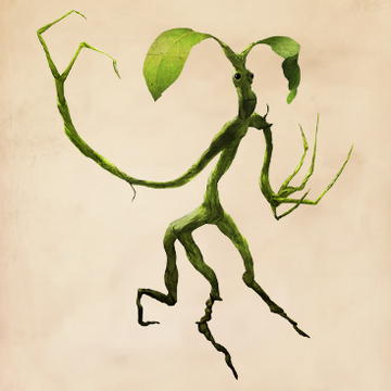 ボウトラックル | Harry Potter Wiki | Fandom