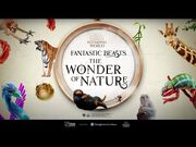 Fantastic_Beasts™-_The_Wonder_of_Nature_-_Natural_History_Museum