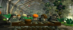 Greenhouse I