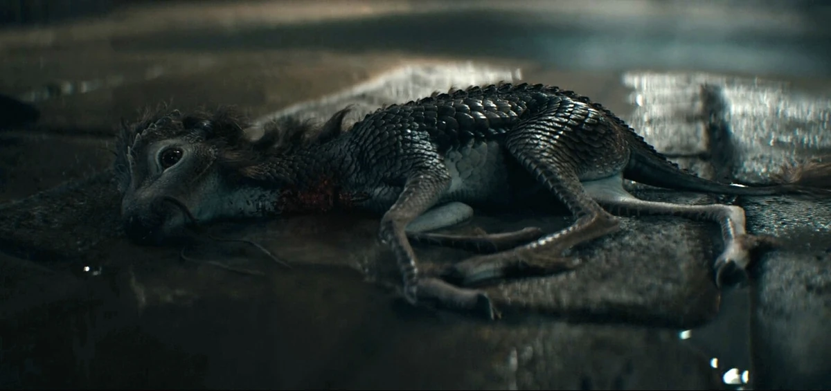 Gellert Grindelwald's Qilin Harry Potter Wiki Fandom