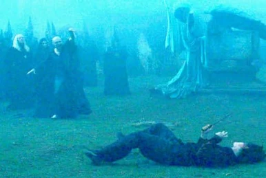 ウィンガーディアム レヴィオーサ | Harry Potter Wiki | Fandom