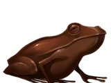 巧克力蛙
