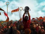Inter-House Quidditch Cup