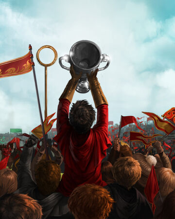 Inter House Quidditch Cup Harry Potter Wiki Fandom