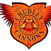Chudley Cannons Harry Potter Wiki Fandom