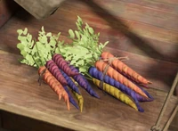Coloured carrots at The Magic Neep