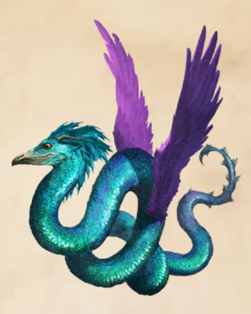 Occamy Wiki Harry Potter Fandom