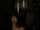 Vinho dos elfos