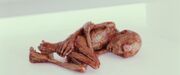 Anima mutilata di Voldemort