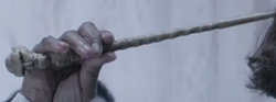 Bernadette's wand