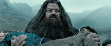 Hagrid porta Harry DH