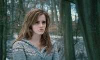 Hermione Granger in the Forest of Dean DHF1