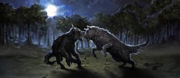 RemusLupin PM B3C20M1 RemusAsAWaerewolfFightingWithSiriusAsADogInForbiddenForest Moment