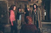 Shakesiriusharrylupinronhermionewormtail.jpg