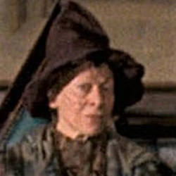カテゴリ 魔法生物飼育学教授 Harry Potter Wiki Fandom
