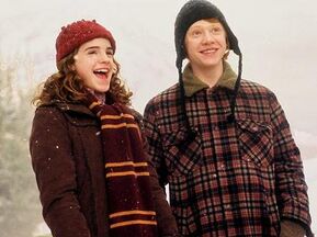 Hermione e Ron ridono