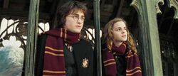 Harry & Hermione talking