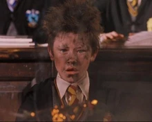 Seamus Finnigan's burnt face after he failed the Levitation Charm