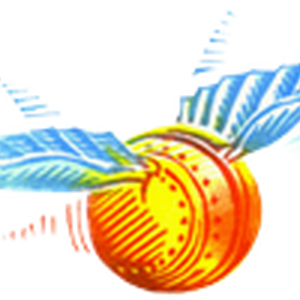 Golden Snitch Harry Potter Wiki Fandom