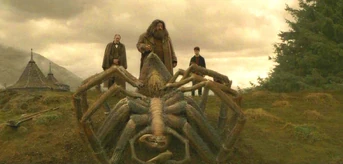 ,  e  partecipano al funerale di Aragog.