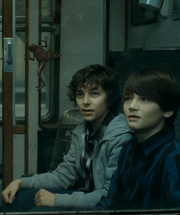 James and Albus in the Hogwarts Express