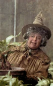 15. Mai - Pomona Sprout