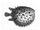 Pufferfisch