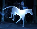 DunMare-patronus.jpg (67 KB) Dun Mare