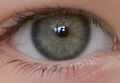 Grey eye closeup.jpg (6 KB) graues Auge