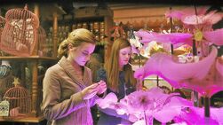 Hermione and Ginny at the Weasley's Wizard Wheezes Shop