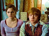 RON I HERMIONA.jpg