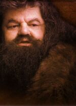 9 Hagrid