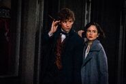 FBaWtFT Newt & Tina