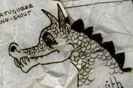 Portuguese Long Snout