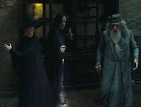 Snape casting a spell to open the trunk in the film