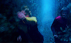 Triwizard Maze | Harry Potter Wiki | Fandom