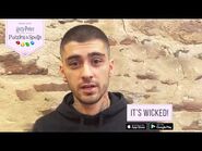 Zayn Shares Some Wisdom for Harry Potter- Puzzles & Spells Players