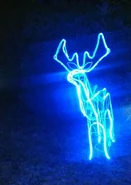 Caairo napotkawszy Harry'ego